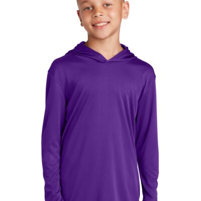 Youth PosiCharge ® Competitor  Hooded Pullover Thumbnail