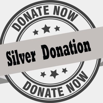 Youth Sports Donation - Silver Thumbnail